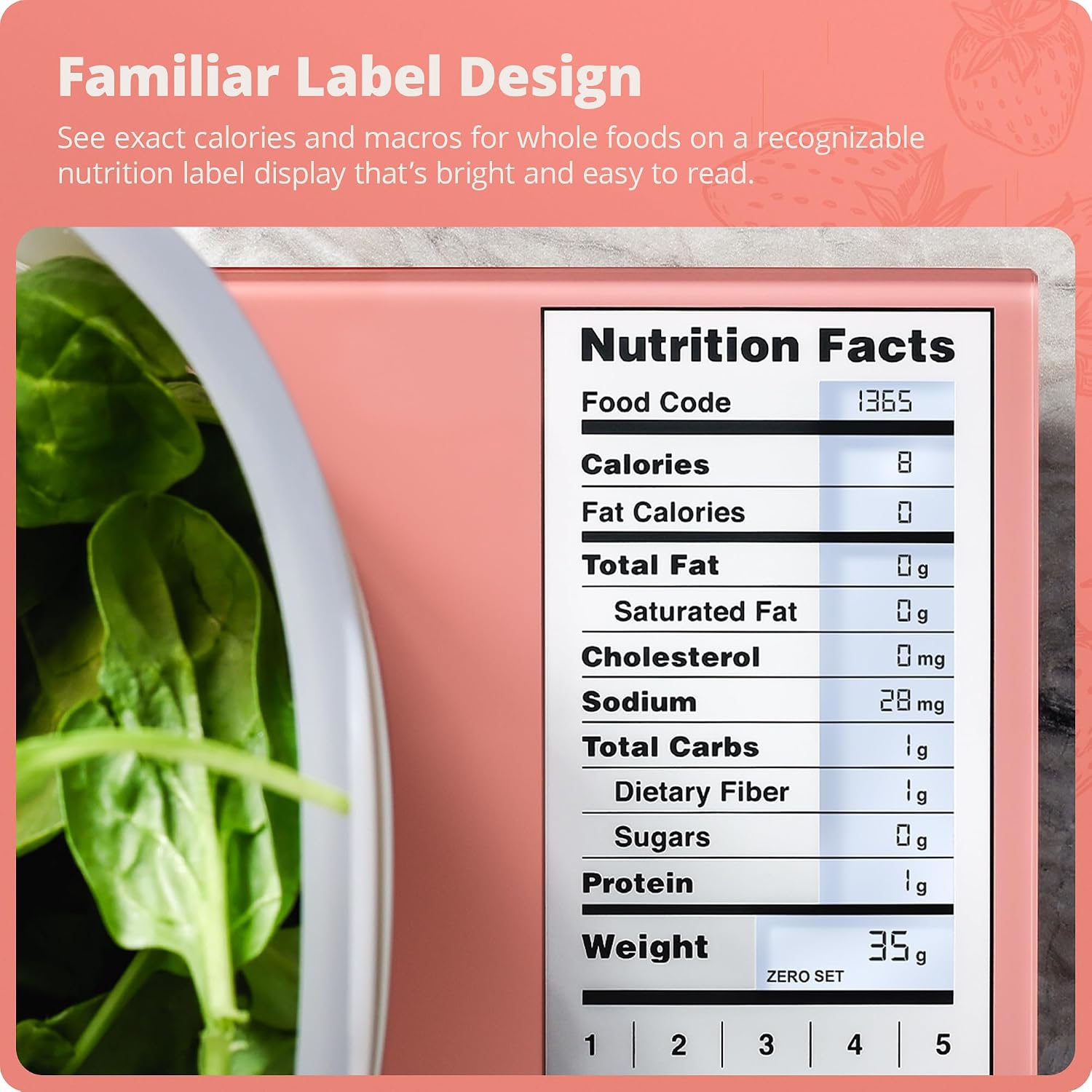 Kitchen Scale Stainless Steel  - Meal Prep Weight Loss review and price