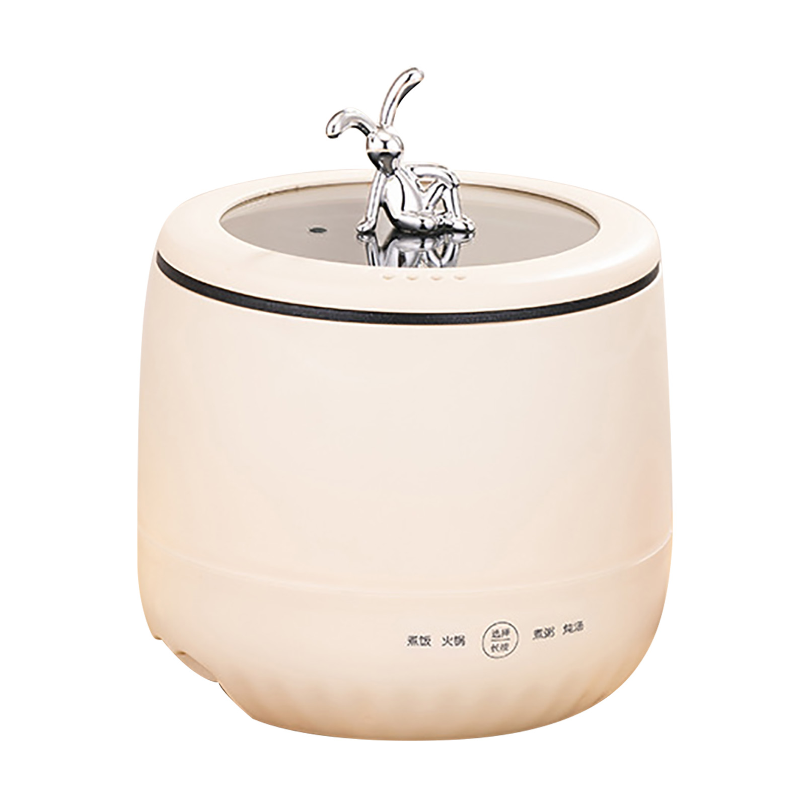 Smart Electric Mini Rice Cooke - Meal Prep Rice review and price