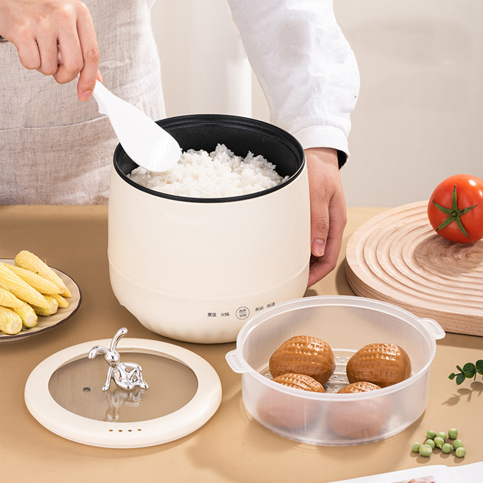 Smart Electric Mini Rice Cooke - Meal Prep Rice review and price