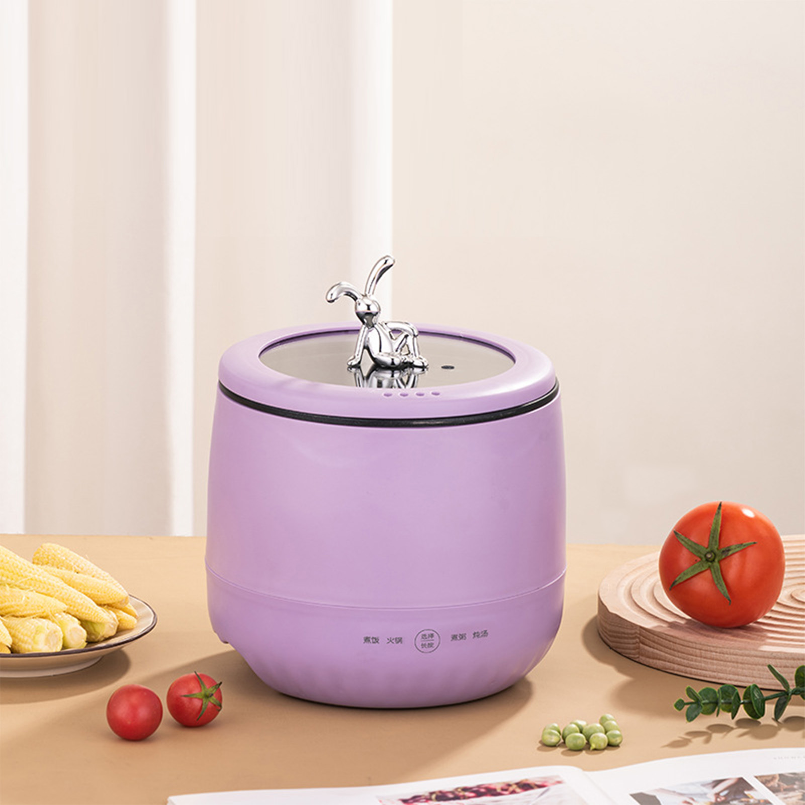 Smart Electric Mini Rice Cooke - Meal Prep Rice review and price