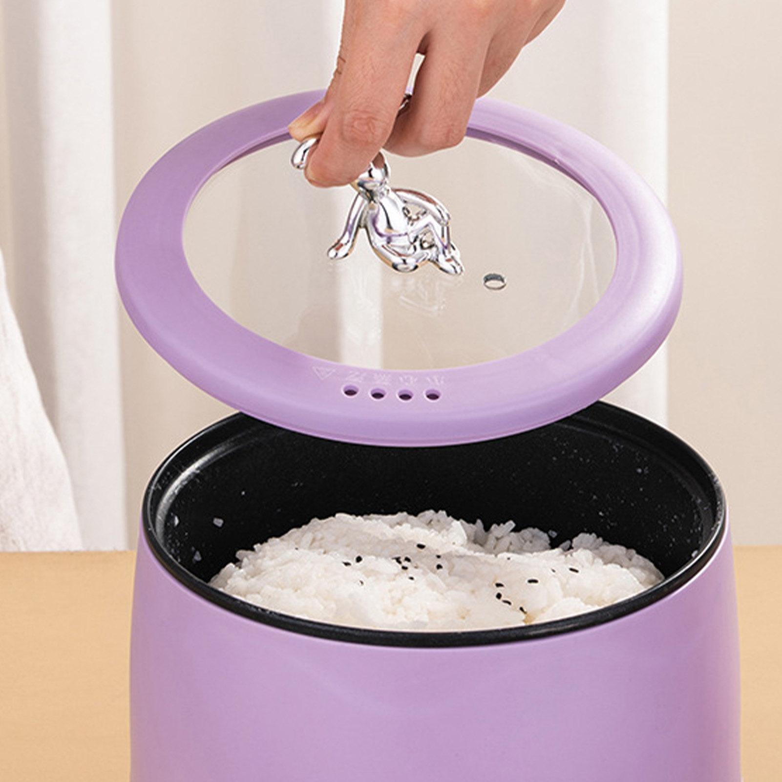Smart Electric Mini Rice Cooke - Meal Prep Rice review and price